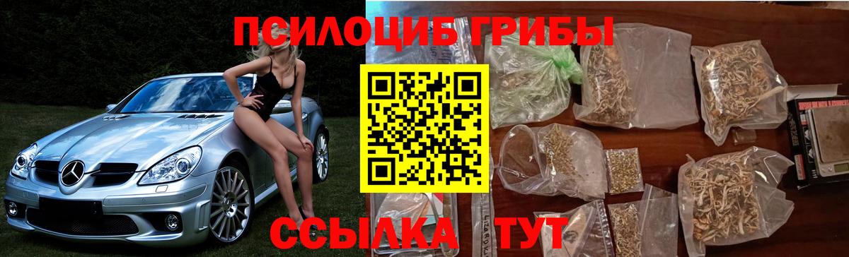 Псилоцибиновые грибы Psilocybine cubensis  Вход с VPN  Славянск-на-Кубани  наркота  Псилоцибиновые грибы ЛСД 