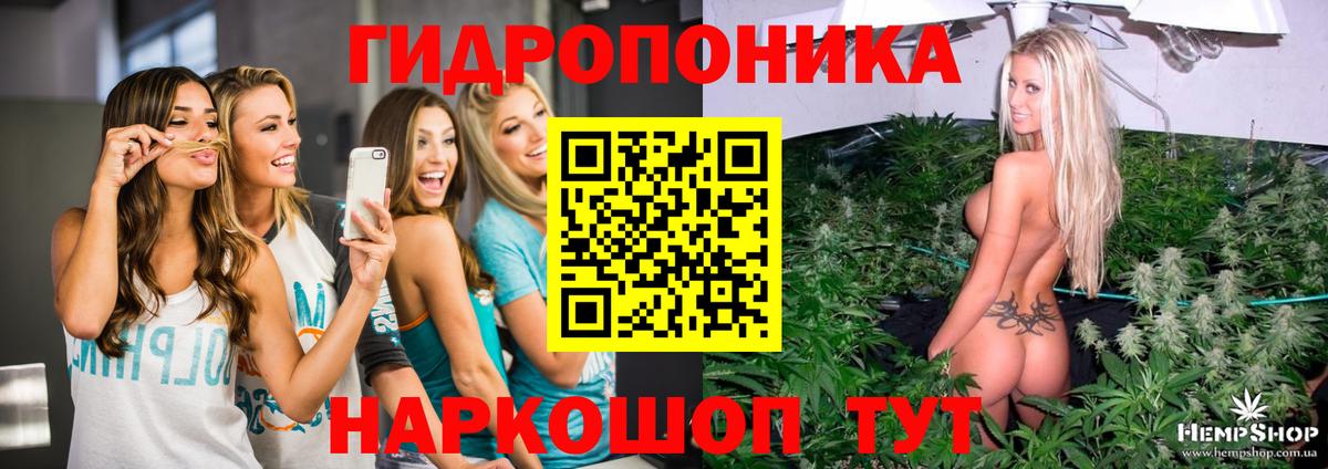 МАРИХУАНА THC 21%  Вход с VPN  Славянск-на-Кубани  Бошки Шишки OG Kush 